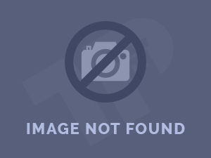 Dane County Haiku Contest Winners