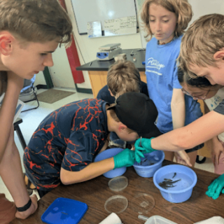 Liam assists Environmental Chemistry campers in assessing biodiversity from pond water samples