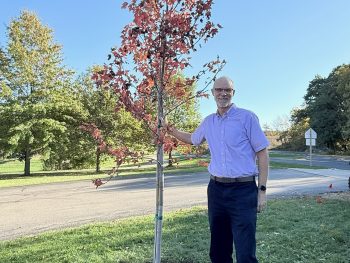 Putting Down Roots